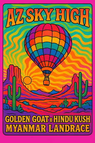 AZ Sky High
