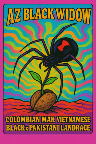 AZ Black Widow