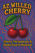 AZ Wild Cherry